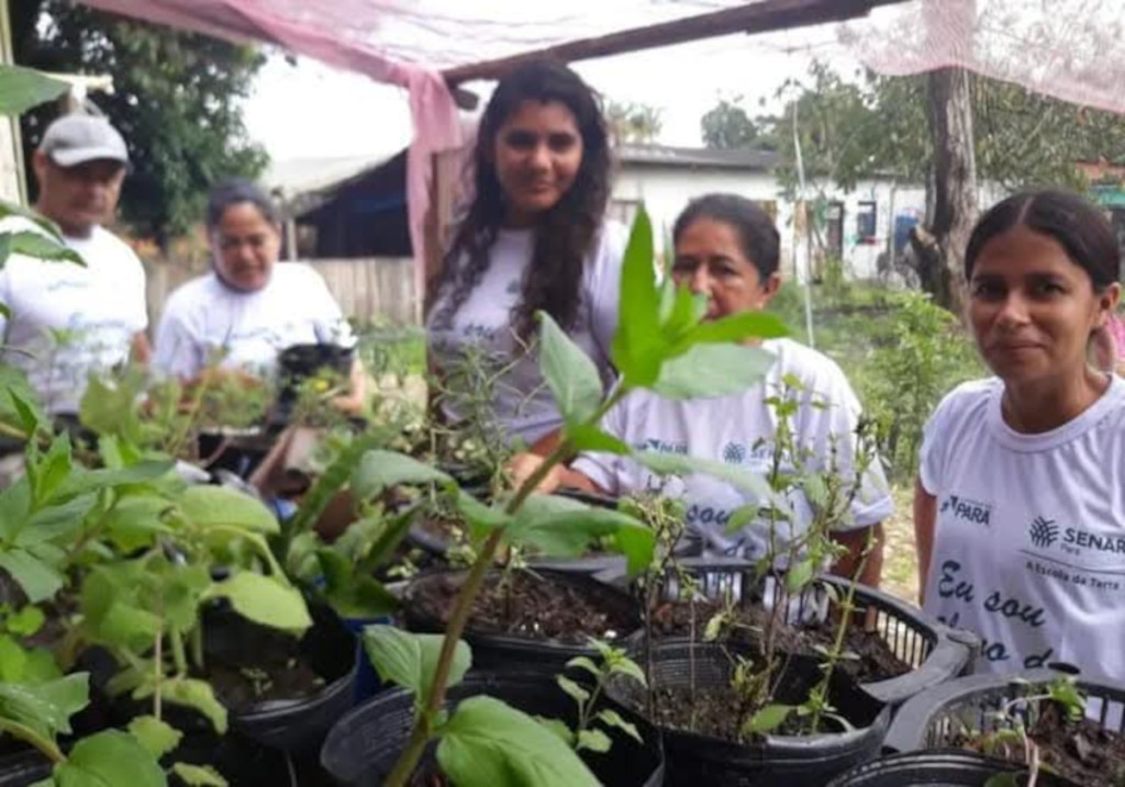 Canteiro com plantas medicinais no primeiro plano e ao fundo grupo de mulheres