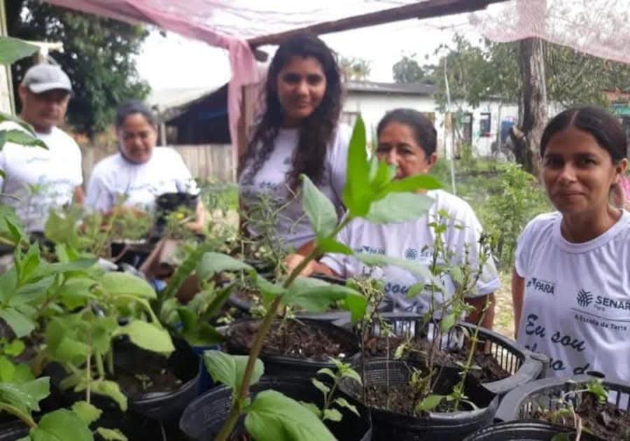 Canteira de plantas medicinais no primeiro plano ao fundo participantes das Irmãs da Horta